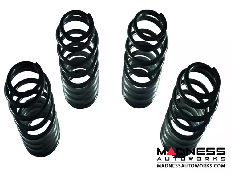 Mercedes Benz G-Class W463a Lowering Spring Kit